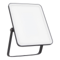 Ledvance - LED Ulkoseinävalonheitin FLOODLIGHT ESSENTIAL LED/30W/230V 4000K IP65