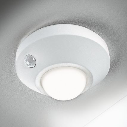 Ledvance - LED-opastevalaisin sensorilla NIGHTLUX LED/1,7W/3xAA 4000K