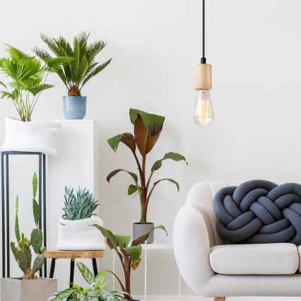 Kattovalaisin johdolla LEON 1xE27/60W/230V pyökki