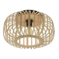 Leuchten Direkt 11412-79 - Pinta-asennettava kattokruunu RACOON 1xE27/40W/230V halk. 40 cm