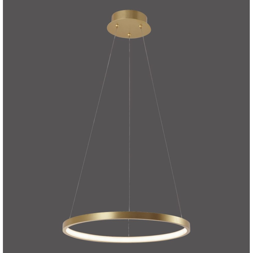 Leuchten Direkt 11522-12 - LED-kattokruunu narussa CIRCLE LED/19W/230V