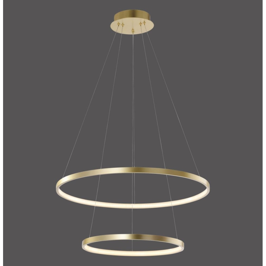 Leuchten Direkt 11525-12 -LED-kattokruunu narussa CIRCLE 1xLED/18,5W/230V + LED/23,5W