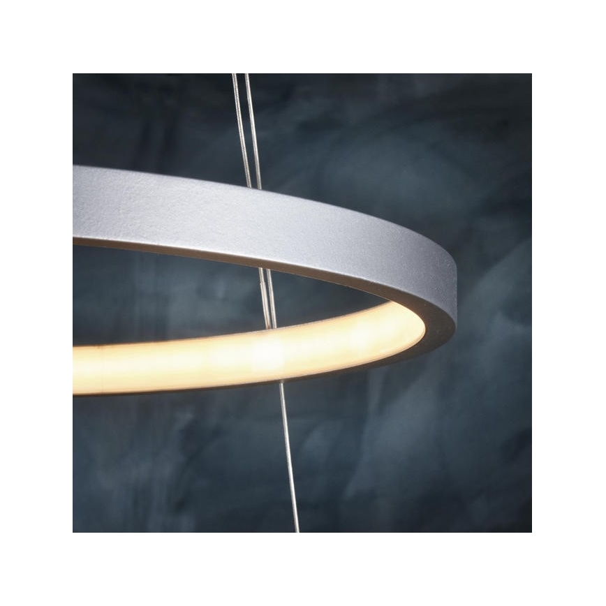 Leuchten Direkt 11525-21 - LED-kattokruunu narussa CIRCLE 1xLED/15W/230V + LED/25W