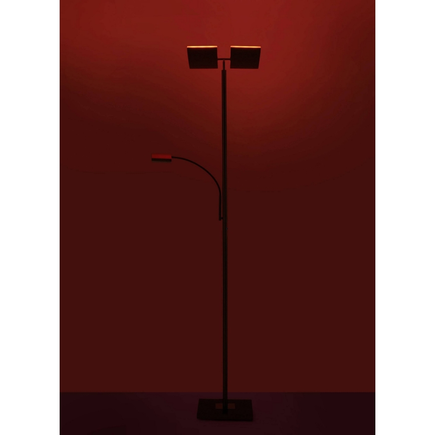 Leuchten Direkt 11925-55 - LED RGB Himmennettävä lattialamppu RUBEN 2xLED/11W/230V+LED/4,8W 2700-5000K + kaukosäädin