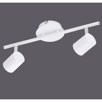 Leuchten Direkt 11942-16 - LED-kohdevalo TARIK 2xGU10/5W/230V valkoinen