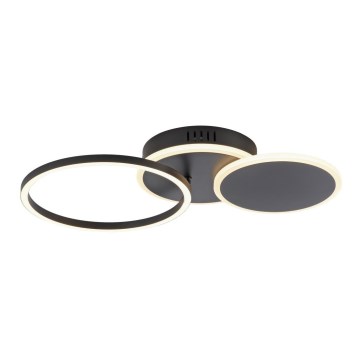 Leuchten Direkt 14116-18 - LED-kattovalaisin SEVENT LED/25,5W/230V musta