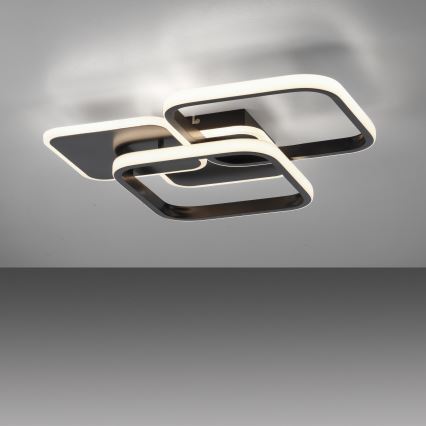 Leuchten Direkt 14117-18 - LED-kattovalaisin SEVENT LED/36W/230V musta