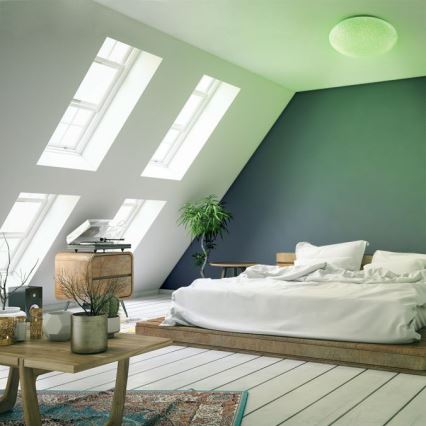 Leuchten Direkt 14241-16 - LED RGB Himmennettävä kattovalo SKYLER LED/5,6W/230V + kauko-ohjain