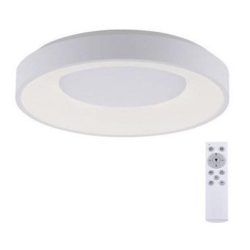 Leuchten Direkt 14326-16 - Himmennettävä LED-kattovalaisin ANIKA LED/30W/230V + kauko-ohjaus