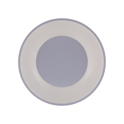 Leuchten Direkt 14326-16 - Himmennettävä LED-kattovalaisin ANIKA LED/30W/230V + kauko-ohjaus