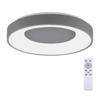 Leuchten Direkt 14326-18 - Himmennettävä LED-kattovalaisin ANIKA LED/30W/230V + kauko-ohjaus