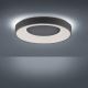 Leuchten Direkt 14326-18 - Himmennettävä LED-kattovalaisin ANIKA LED/30W/230V + kauko-ohjaus