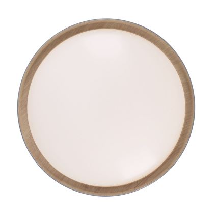 Leuchten Direkt 14347-15 - himmennettävä LED-kattovalaisin EMILIA LED/28,8W/230V harmaa