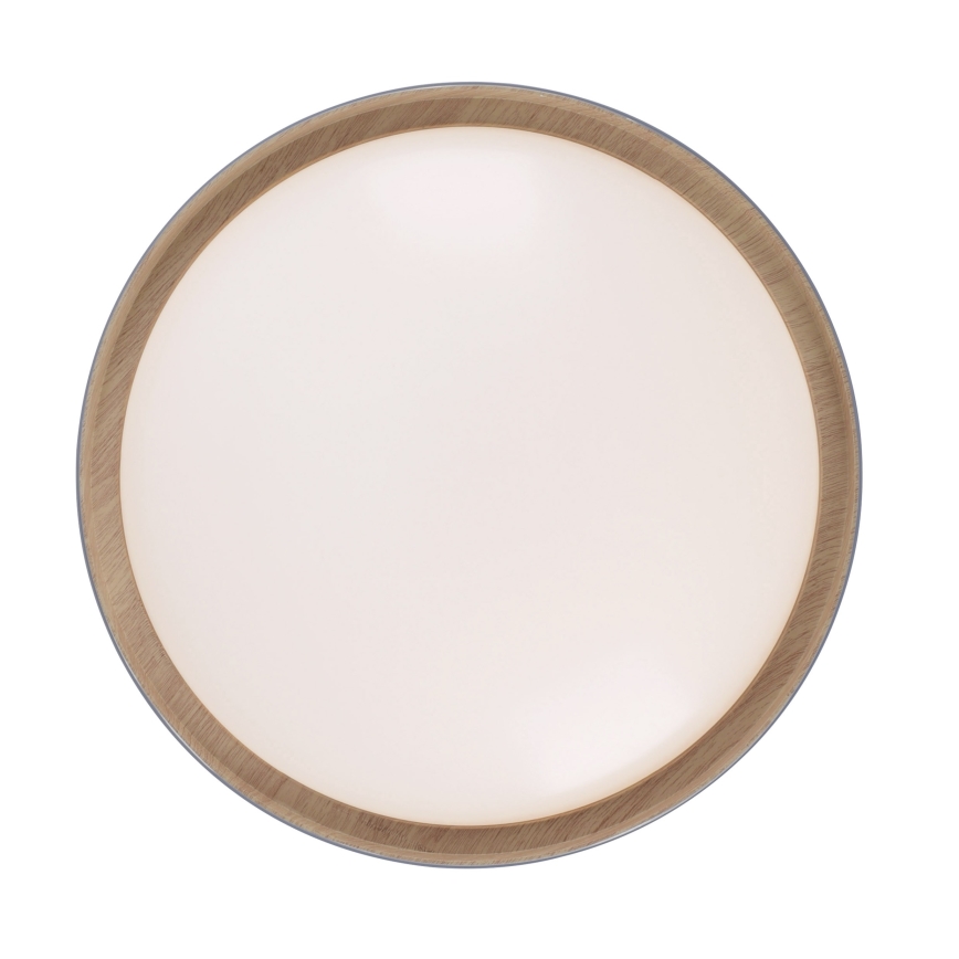 Leuchten Direkt 14347-15 - himmennettävä LED-kattovalaisin EMILIA LED/28,8W/230V harmaa