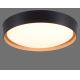Leuchten Direkt 14347-18 - LED Himmennettävä kattovalaisin EMILIA LED/28,8W/230V musta
