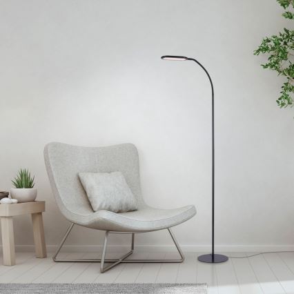 Leuchten Direkt 14406-18 - LED Himmennettävä kosketus lattialamppu KELLY LED/7W/230V 3000/4000/6000K