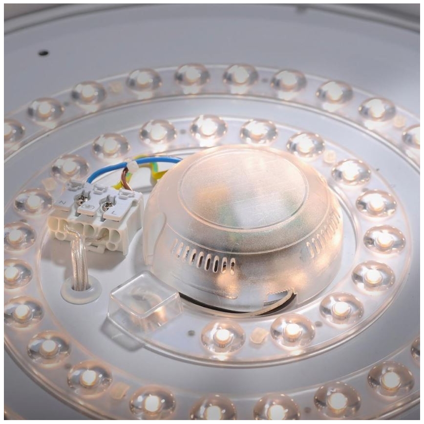 Leuchten Direkt 14422-17 - LED Kylpyhuoneen kattovalo sensorilla LAVINIA LED/18W/230V IP44