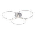 Leuchten Direkt 14539-55 - Himmennettävä LED-kattovalaisin IVANKA 3xLED/12W/230V