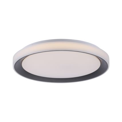 Leuchten Direkt 14659-18 - Himmennettävä LED-RGB-kattovalaisin LOLA LED/24W/230V Tuya + kauko-ohjaus
