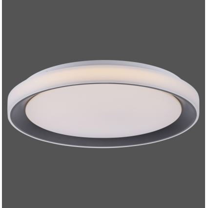 Leuchten Direkt 14659-18 - Himmennettävä LED-RGB-kattovalaisin LOLA LED/24W/230V Tuya + kauko-ohjaus