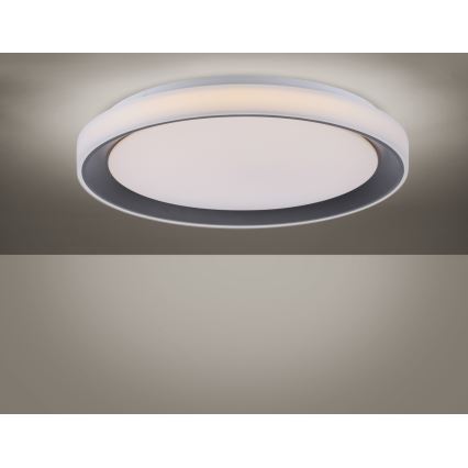 Leuchten Direkt 14659-18 - Himmennettävä LED-RGB-kattovalaisin LOLA LED/24W/230V Tuya + kauko-ohjaus