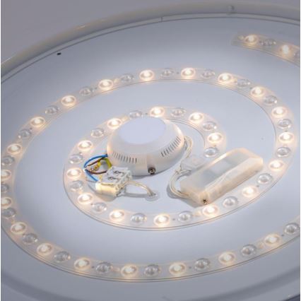 Leuchten Direkt 14822-17 - LED Kylpyhuoneen kattovalo sensorilla LAVINIA LED/40W/230V IP44
