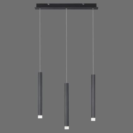 Leuchten Direkt 15203-18 - LED Kattokruunu johdossa 3xLED/4,8W/230V musta