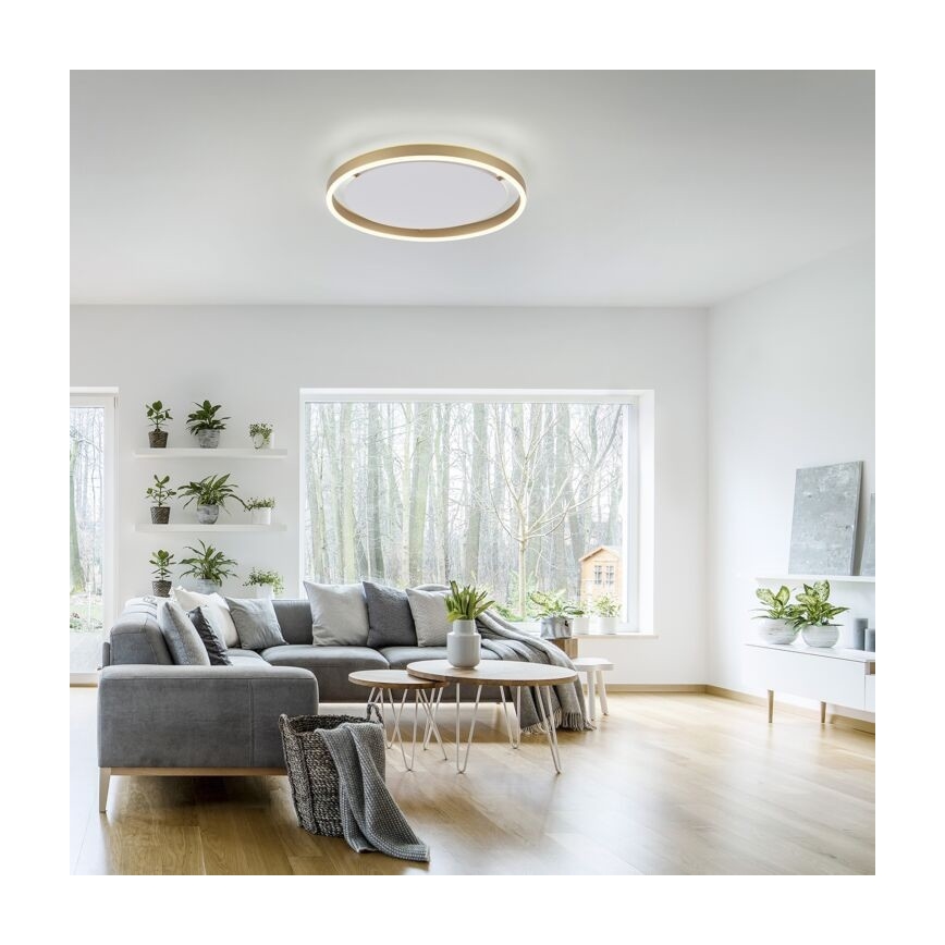 Leuchten Direkt 15391-60 - Himmennettävä LED-kattovalo RITUS LED/20W/230V