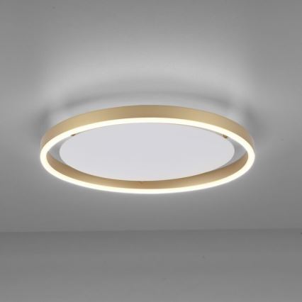 Leuchten Direkt 15391-60 - Himmennettävä LED-kattovalo RITUS LED/20W/230V