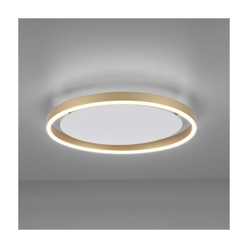 Leuchten Direkt 15391-60 - Himmennettävä LED-kattovalo RITUS LED/20W/230V