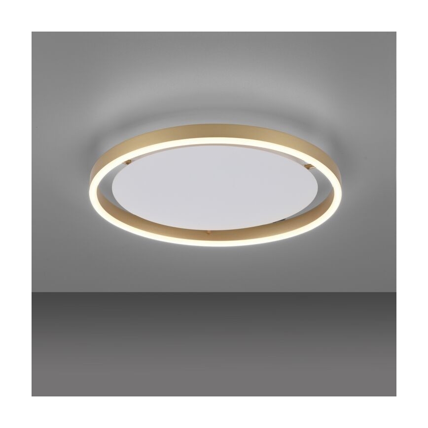 Leuchten Direkt 15391-60 - Himmennettävä LED-kattovalo RITUS LED/20W/230V