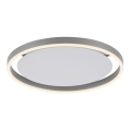 Leuchten Direkt 15391-95 - Himmennettävä LED-kattovalaisin RITUS LED/20W/230V mattakromi