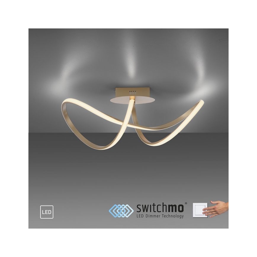 Leuchten Direkt 15403-60 - LED Himmennettävä pinta-asennettava kattokruunu MARIA LED/15,5W/230V