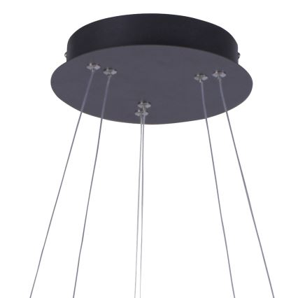 Leuchten Direkt 15610-18 - LED Himmennettävä kattokruunu johdossa MUSA LED/36W/230V