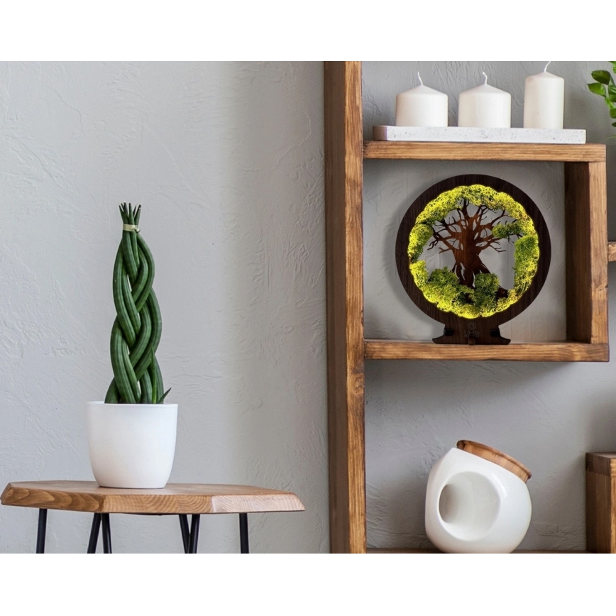 Li-Go 23604/DUB2 - LED-säädettävä pöytäkoriste LED/12W/230V 20x22 cm tammi/sammal ja puu