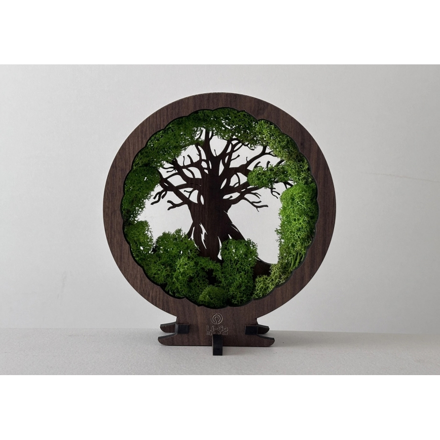 Li-Go 23604/DUB2 - LED-säädettävä pöytäkoriste LED/12W/230V 20x22 cm tammi/sammal ja puu