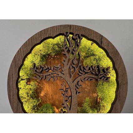 Li-Go 23622/DUB2 - LED-himmennettävä pöytäkoristevalaisin LED/12W/230V 20x22 cm tammi/risti sammalessa