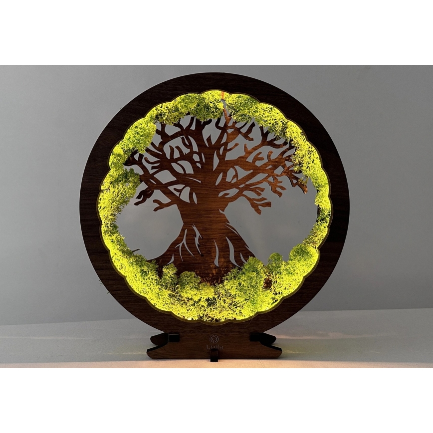 Li-Go 23631/DUB2 - LED-himmennettävä pöytäkoriste LED/12W/230V 30x31 cm tammi/sammal ja puu