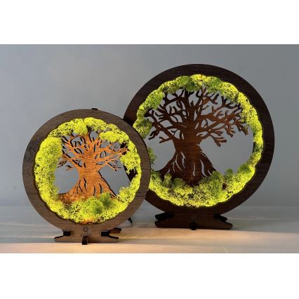 Li-Go 23631/DUB2 - LED-himmennettävä pöytäkoriste LED/12W/230V 30x31 cm tammi/sammal ja puu