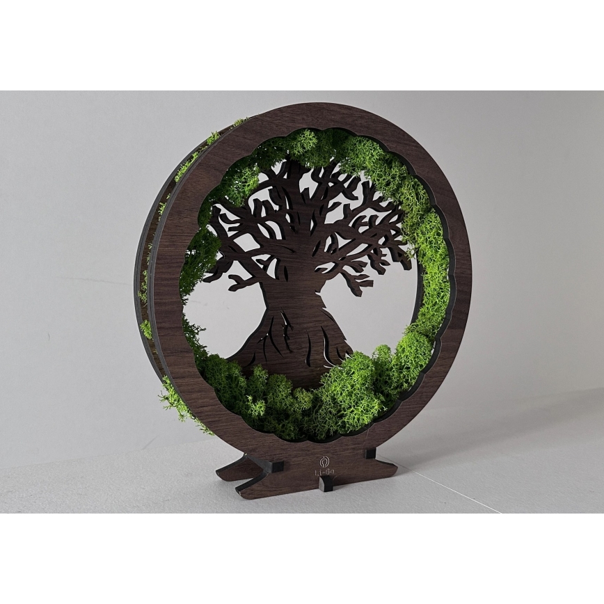 Li-Go 23631/DUB2 - LED-himmennettävä pöytäkoriste LED/12W/230V 30x31 cm tammi/sammal ja puu