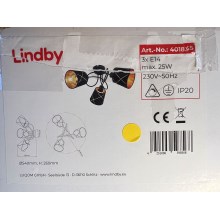 Lindby - Kiinteä kattokruunu SINDRI 3xE14/25W/230V
