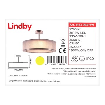 Lindby - LED-himmennettävä kattokruunu tangossa PIKKA 3xLED/12W/230V