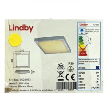 Lindby - LED-kattovalaisin MARGIT LED/24W/230V
