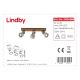 Lindby - LED-kohdevalo MITIS 3xGU10/5W/230V