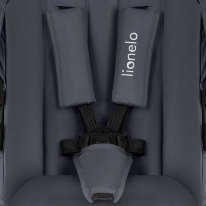 Lionelo - 2-in-1 yhdistelmävaunut AMBER PLUS harmaa grafiitti