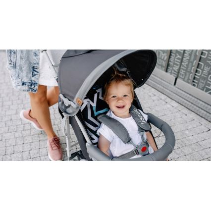 Lionelo - ELIA kevyet matkarattaat, harmaa