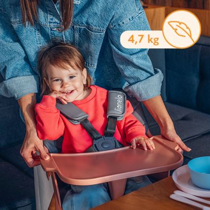 Lionelo - Lasten 2-in-1 ruokatuoli KOEN Pink Rose