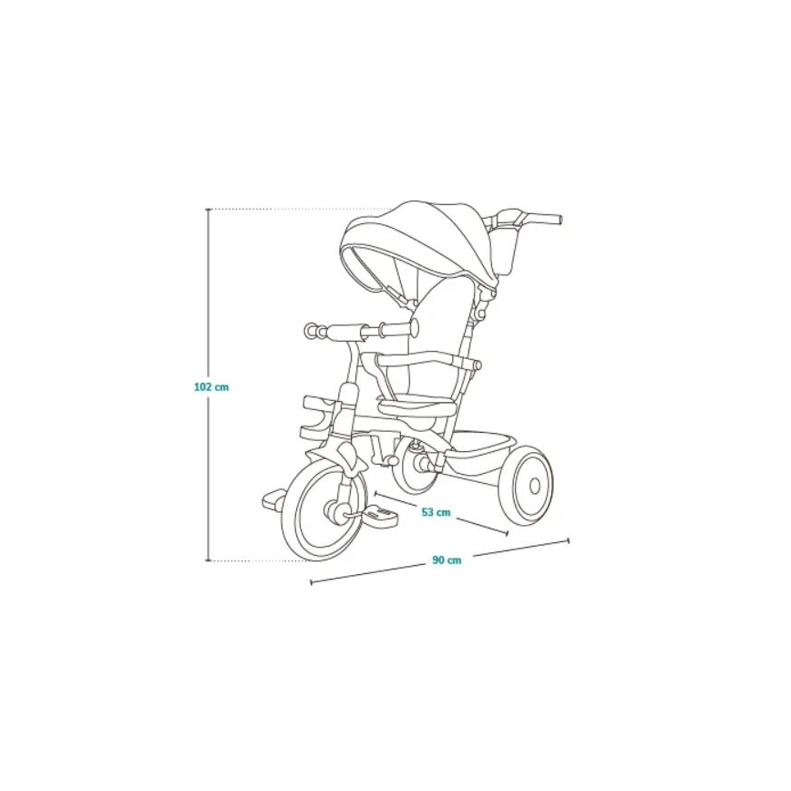 Lionelo - Lasten kolmipyörä BERRY Grey Stone