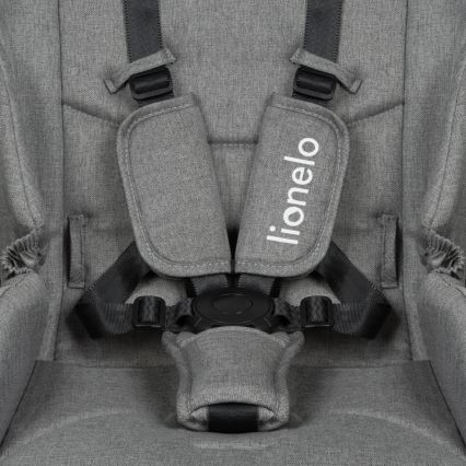 Lionelo MERIL 2-in-1 yhdistelmävaunut, Grey Stone