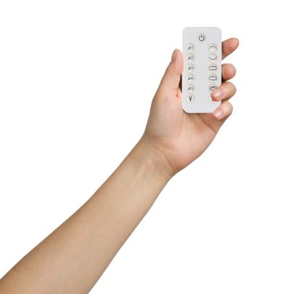 Lionelo - Vauvakeinu OLIVIA, musiikkitoiminnolla, beige/luonnonväri + kaukosäädin